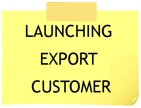 How Does The Export Business Model Canvas Work?